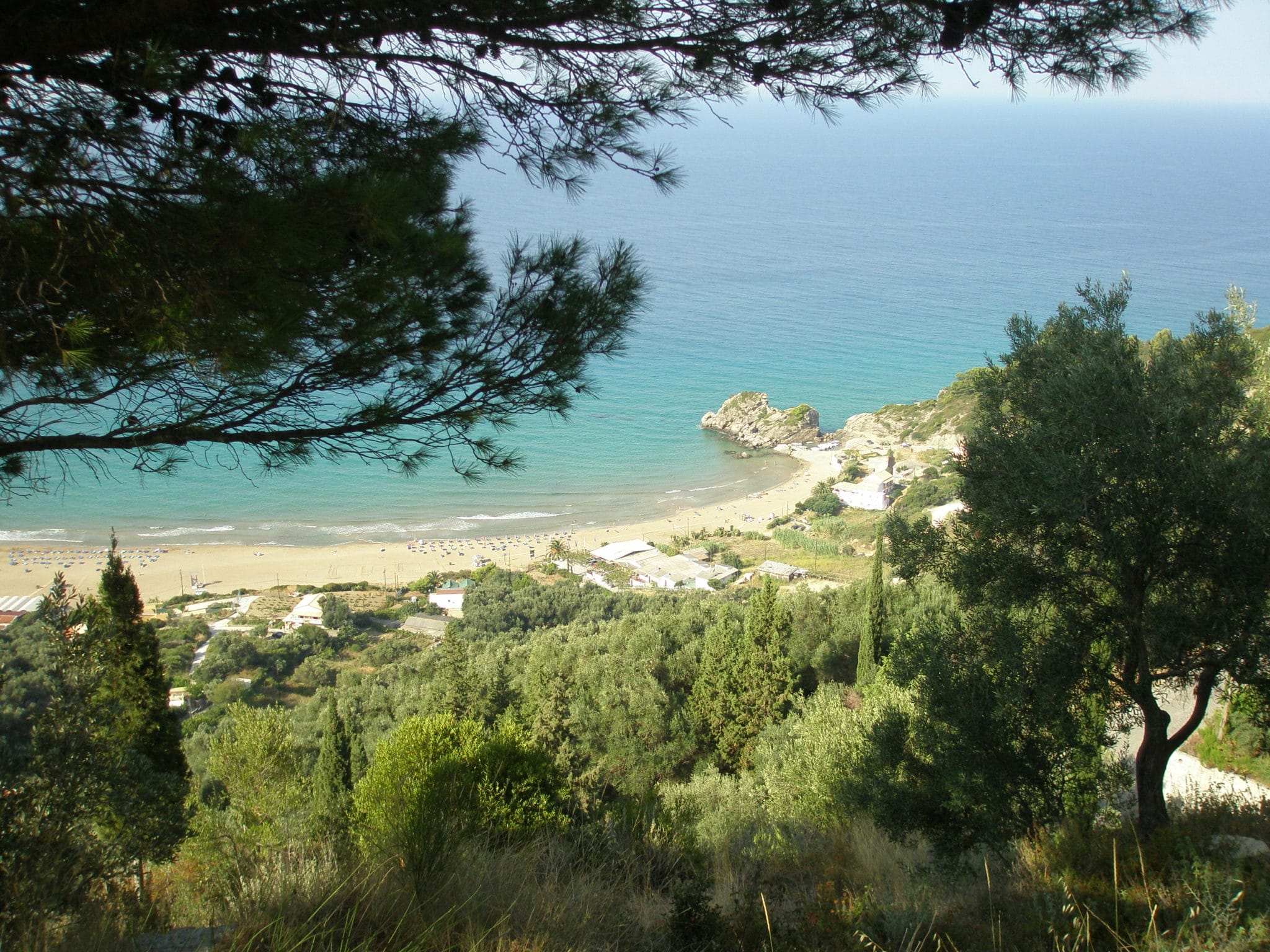 Η τελευταία επιστολή της θείας.