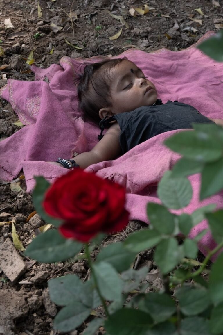 A little girl laying on a pink blanket next to a red rose
